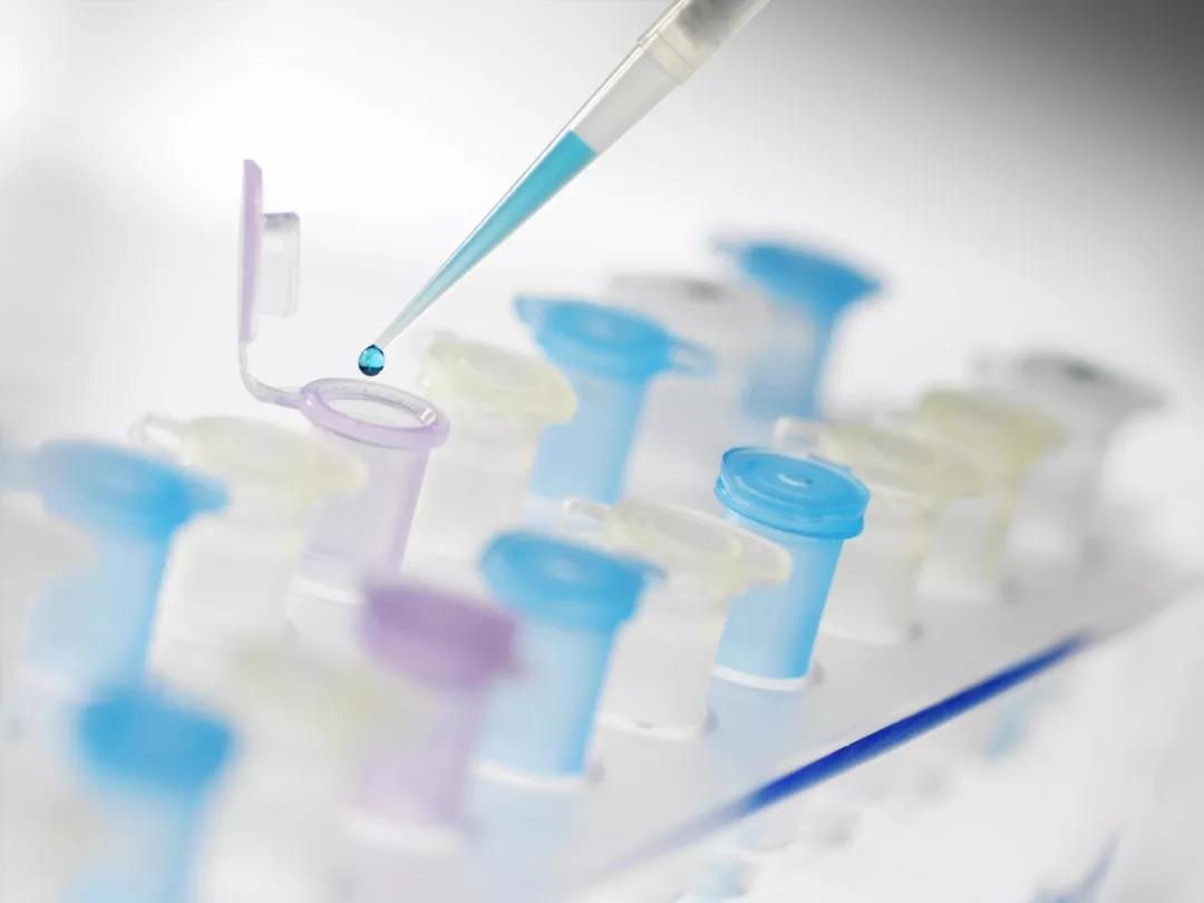 新型冠狀病毒、檢測試劑、靈敏度